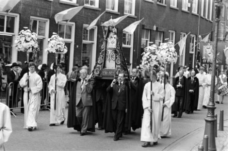 Processiestoet die voor het Pausmobiel in Den Bosch uitliep, Bestanddeelnr 933-3257