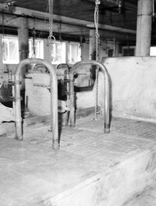 Proefboerderij, Bestanddeelnr 162-0647
