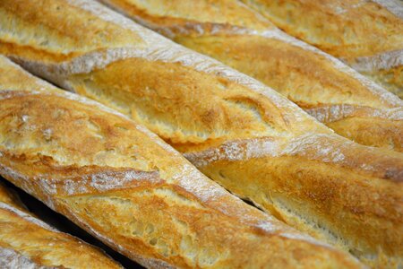 Bread bakery power