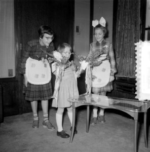 Prinses Marijke 7 jaar ontvangst Soestdijk, Bestanddeelnr 906-3039