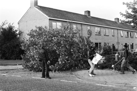 Proces tegen Zuidmolukkers in Assen omgezaagde boom als barricade gebruikt tij…, Bestanddeelnr 929-3404