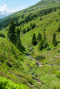 Nature landscape alpine