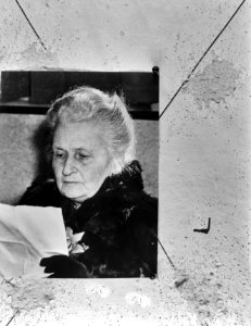 Prinses Maria Marterozi (kop), Bestanddeelnr 927-5005