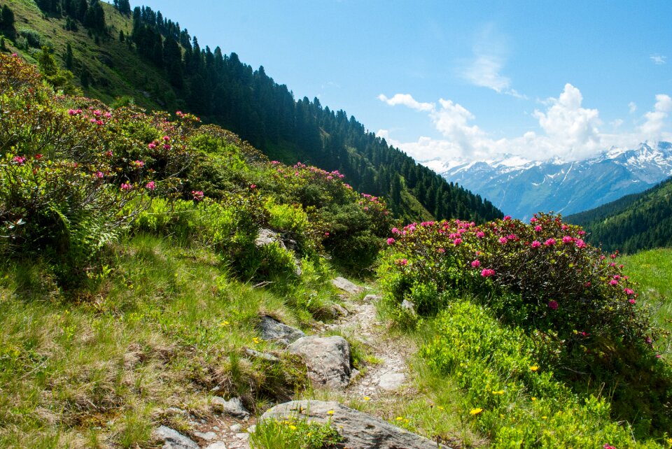 Landscape alpine mountain hiking