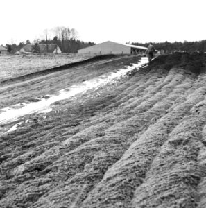 Proefaanleg vijver aan de Koningsweg te Arnhem, Bestanddeelnr 163-0736