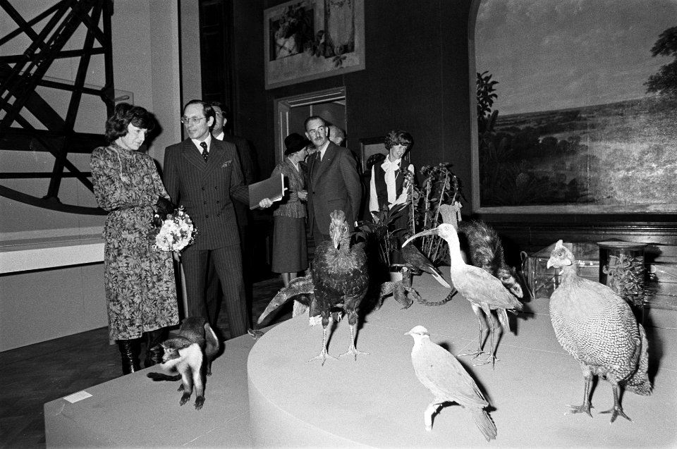 Prinses Margriet tijdens de rondgang bij een tafel met opgezette vogels rechts , Bestanddeelnr 930-5975