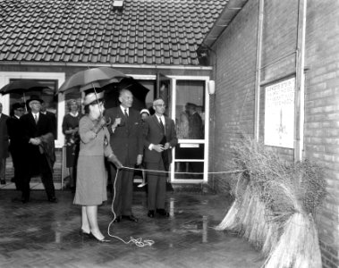 Prinses Margriet te Metslawier (Friesland), Prinses Margriet tijdens rondgang, Bestanddeelnr 917-8927