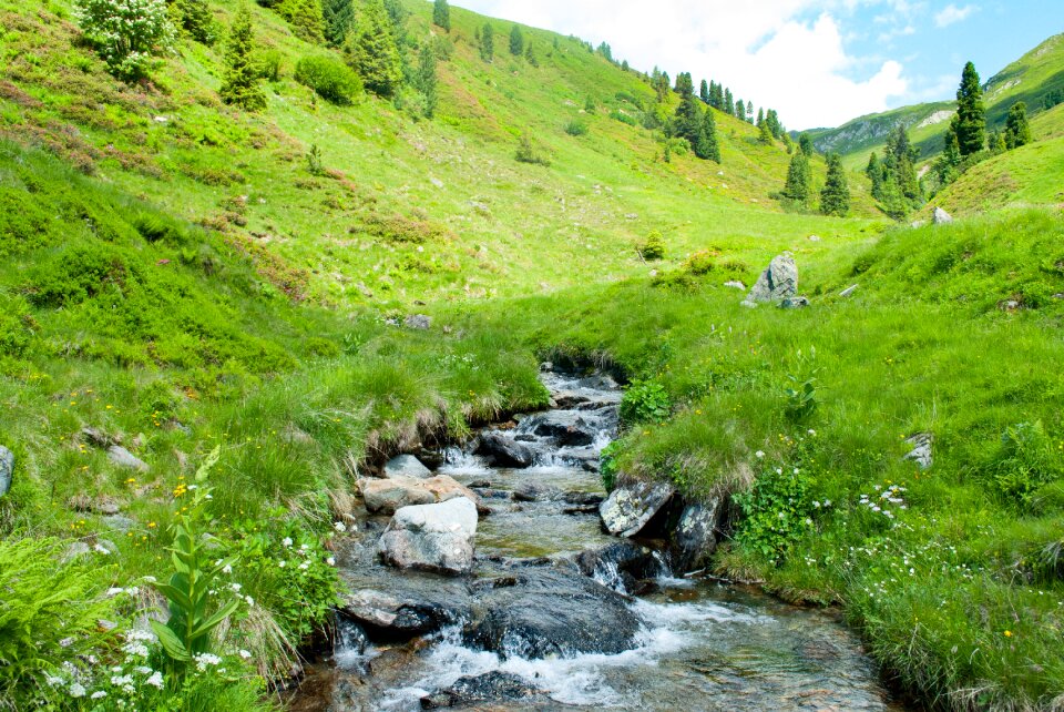 Nature landscape alpine