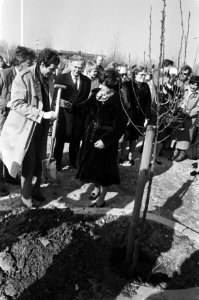 Prinses Margriet plant eerste boom in verkeerstuin van kinderhuis de Merenhof i, Bestanddeelnr 932-0814