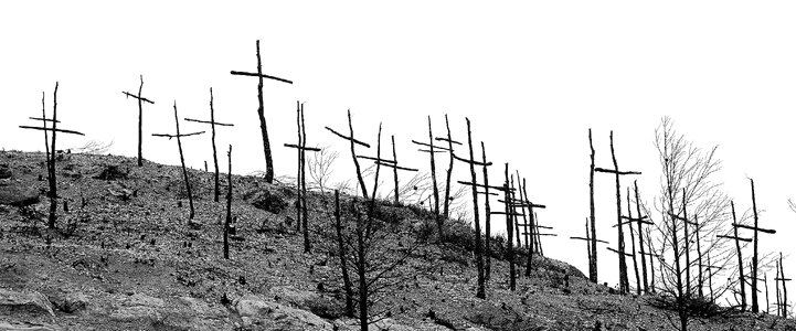 Degradation artistic crosses death