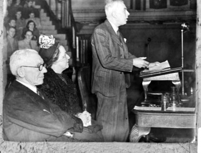 Professor Toynbee staande, Bestanddeelnr 920-4490