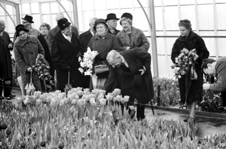 Professor De Quay opent Keukenhof in Lisse, Bestanddeelnr 913-7030