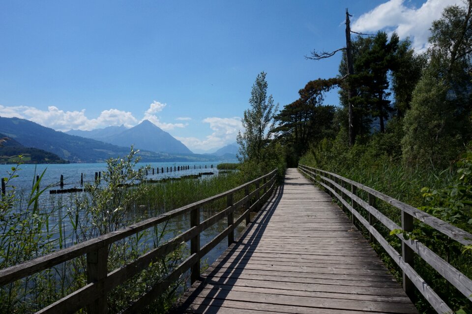 Lake brienz bank web
