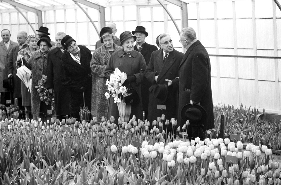 Professor De Quay opent Keukenhof in Lisse, Bestanddeelnr 913-7033