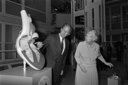 Professor Roos (l.) gaf uitleg, Bestanddeelnr 933-6042
