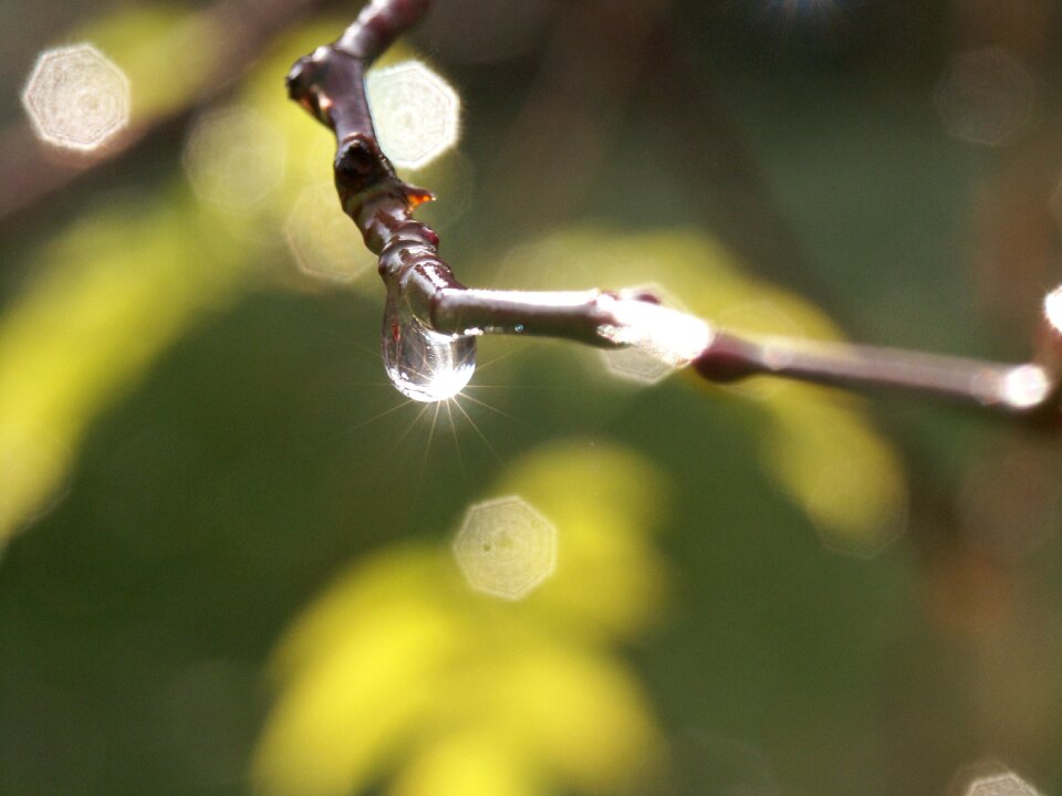 Nature reflection water drop