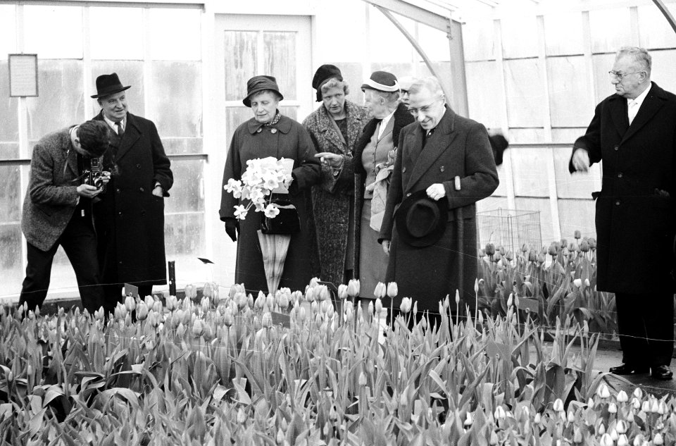 Professor De Quay opent Keukenhof in Lisse, Bestanddeelnr 913-7036