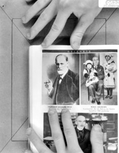 Professor Siegmund Freud, Bestanddeelnr 919-6224