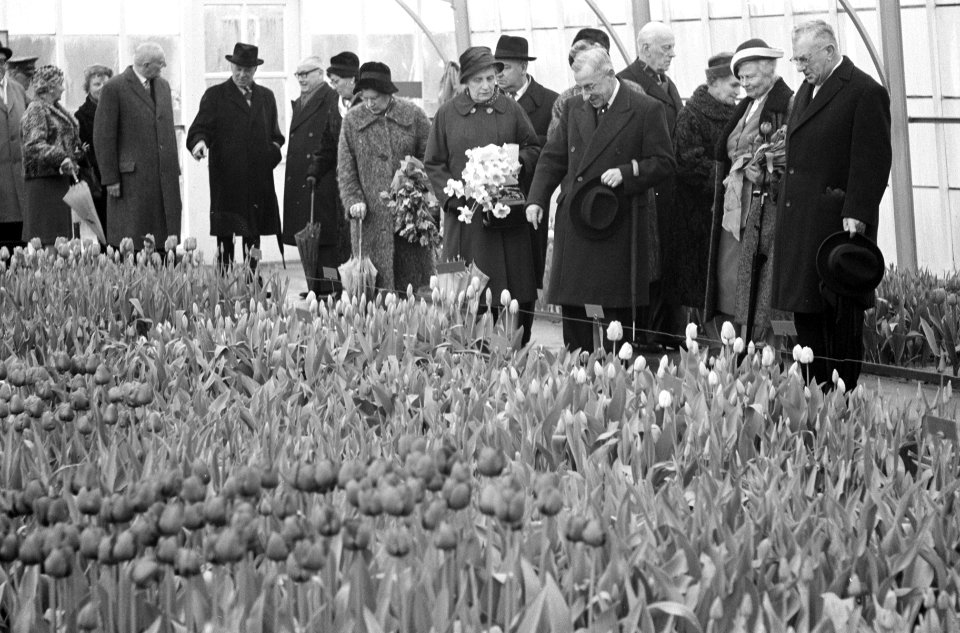 Professor De Quay opent Keukenhof in Lisse, Bestanddeelnr 913-7040