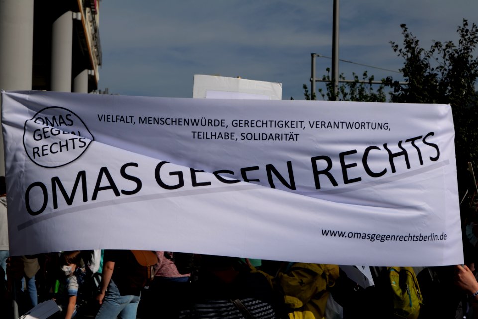 Protest against third way demonstration Berlin 2020-10-03 06