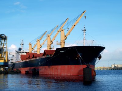 PROMISE 1 - IMO 9516698 photo-1