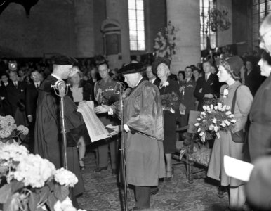 Promotie Churchill, Bestanddeelnr 901-7380