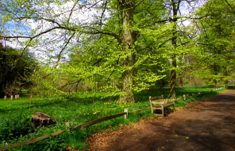 Promenade au printemps à Kew Gardens