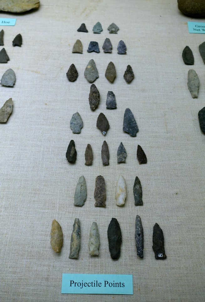 Projectile points - Plymouth Area Artifacts (W. W. Whiting Collection) - Robbins Museum - Middleborough, Massachusetts - DSC03869