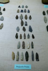 Projectile points - Plymouth Area Artifacts (W. W. Whiting Collection) - Robbins Museum - Middleborough, Massachusetts - DSC03869