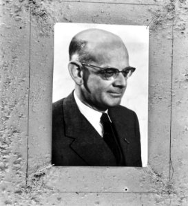 Professor De Gaay Fortman (kop), Bestanddeelnr 918-2710