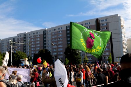 Protest against third way demonstration Berlin 2020-10-03 09