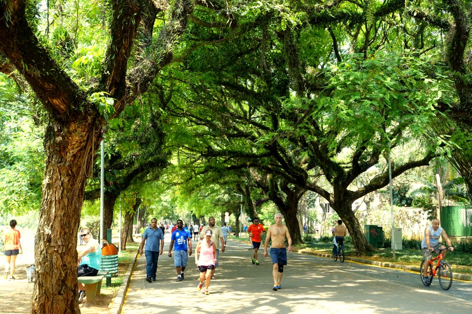 Promenade - Ibirapuera Park - Sao Paulo, Brazil - DSC07468