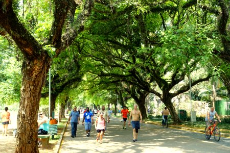 Promenade - Ibirapuera Park - Sao Paulo, Brazil - DSC07468
