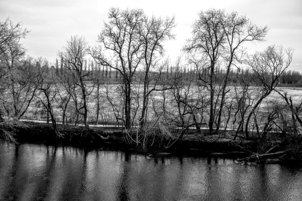 Promenade Saint-Charles 10