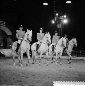 Programma van Circus Krone in Rotterdam ruiterquadrille met de beroemde Lipizane, Bestanddeelnr 910-4379
