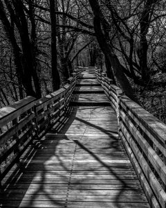 Promenade Saint-Charles 02