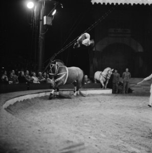 Programma van Circus Krone in Rotterdam cowboyspelen met lasso en saltomortale, Bestanddeelnr 910-4380