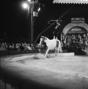 Programma van Circus Krone in Rotterdam cowboyspelen met lasso en saltomortale, Bestanddeelnr 910-4381