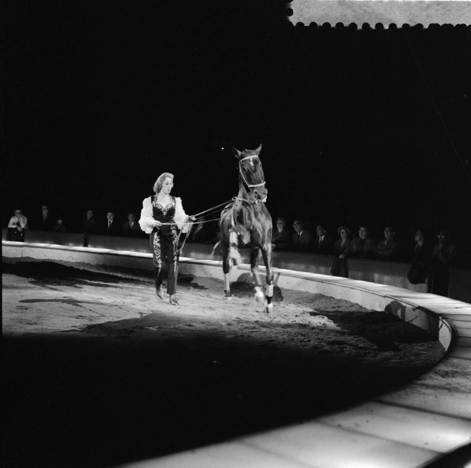 Programma van Circus Krone in Rotterdam. Christel Senbach-Krone met de bruine Li, Bestanddeelnr 910-4387