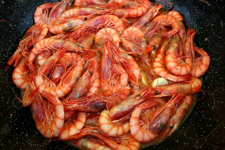 Red garlic food