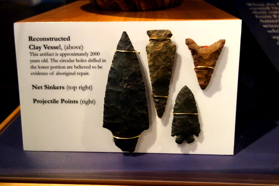 Projectile points - Connecticut Museum of Natural History - DSC09964