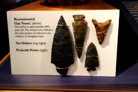 Projectile points - Connecticut Museum of Natural History - DSC09964
