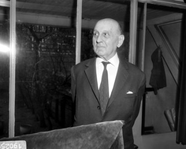 Prof. dr. F.J.J. Buytendijk (kop), Bestanddeelnr 919-0259