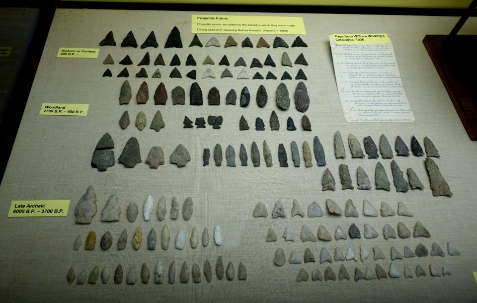 Projectile points - Nook Farm Burgess Pasture collection (Plymouth) - Robbins Museum - Middleborough, Massachusetts - DSC03882