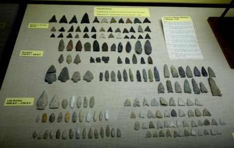 Projectile points - Nook Farm Burgess Pasture collection (Plymouth) - Robbins Museum - Middleborough, Massachusetts - DSC03882