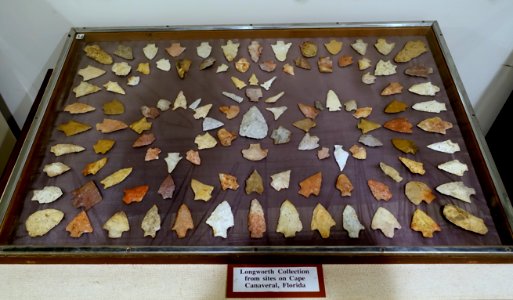 Projectile points - Longworth collection, found on Cape Canaveral, Florida - Robbins Museum - Middleborough, Massachusetts - DSC03763
