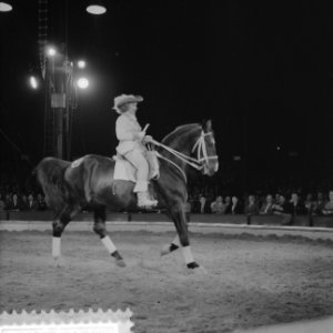 Programma van Circus Krone in Rotterdam Christel Sembach Krone op de Engelse vol, Bestanddeelnr 910-4368