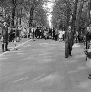 Prinses Irene Brigade onderweg. Toegestroomd publiek op een door bomen omzoomde…, Bestanddeelnr 900-3133