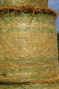 Harvest agriculture harvested