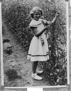Prinses Irene 5 augustus 11 jaar, Bestanddeelnr 904-1087